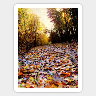 Autumn Leaf Path (HDR) Sticker